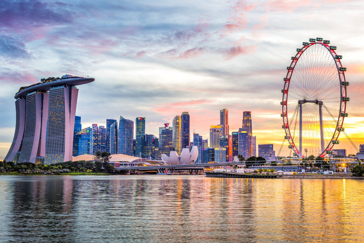 Singapore Private Car Tour 4 or 8H Flexible + Hotel Pickup