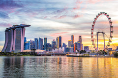 Singapore Private Car Tour 4 or 8H Flexible + Hotel Pickup