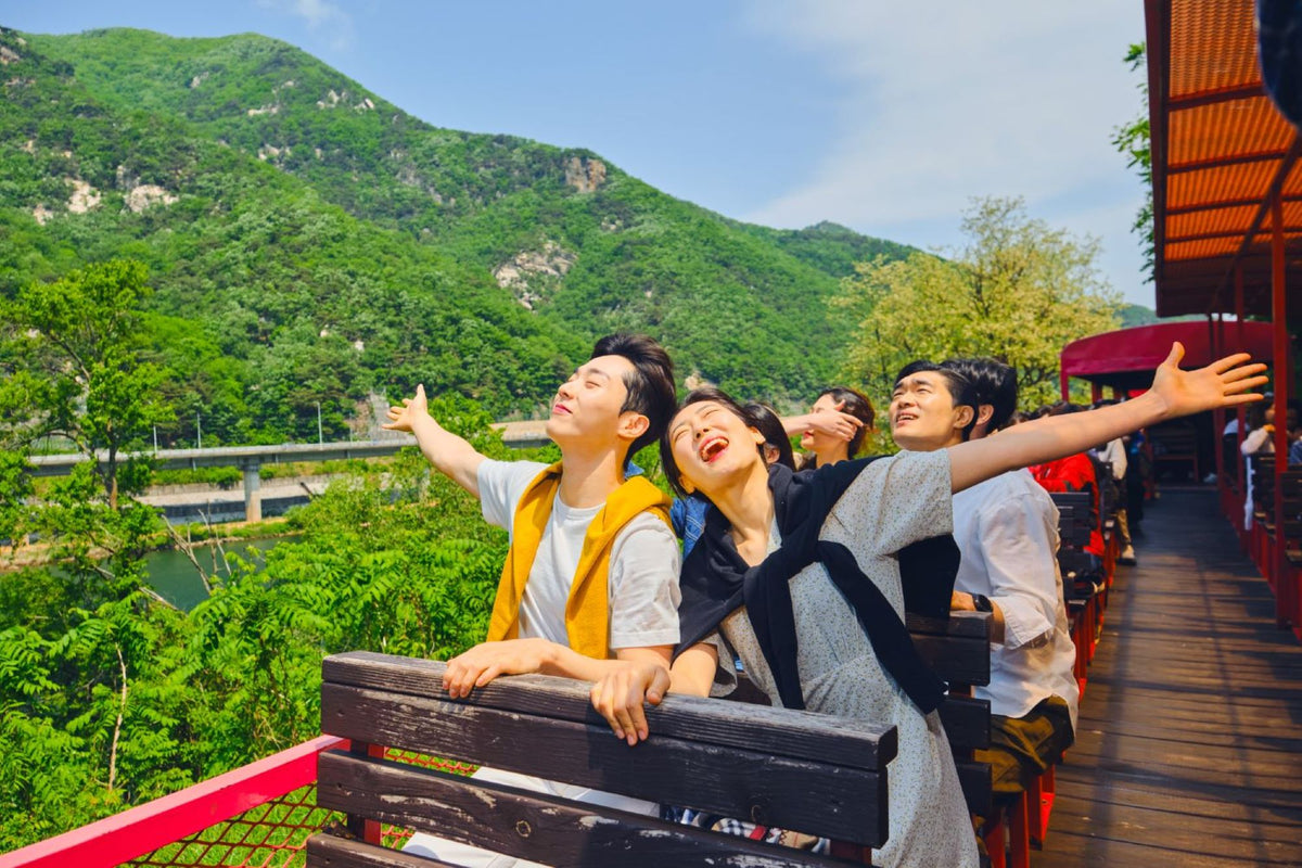Gangwon - do and Gyeonggi - do Private Car Charter