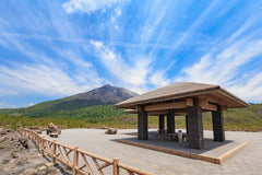 [Kyushu Pier Charter] Kagoshima - Miyazaki Pier Private Charter Day Tour | Customizable Itinerary