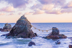 Kyushu Fukuoka Private Car Charter Day Tour