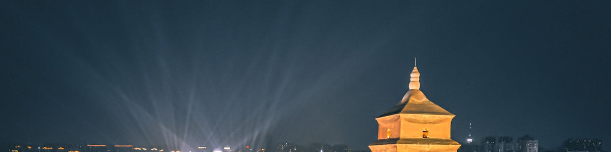 One - day chartered tour to Big Wild Goose Pagoda & Bell and Drum Tower & Shaanxi History Museum