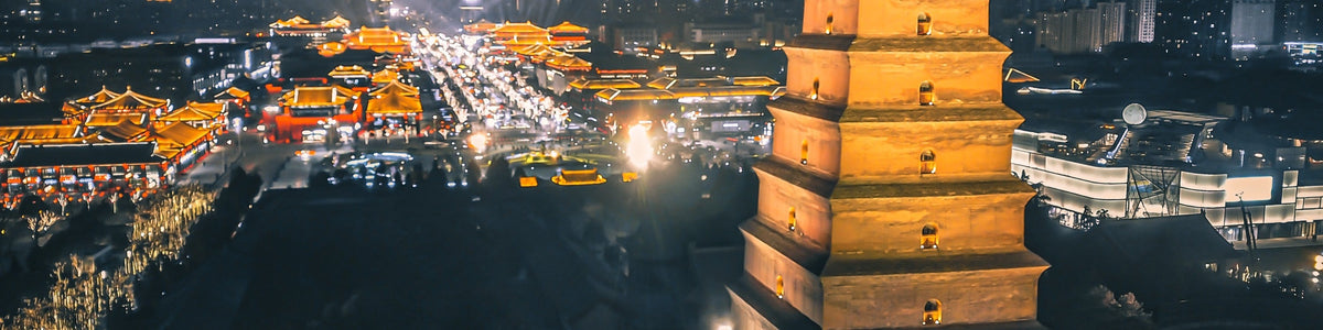 One - day chartered tour to Big Wild Goose Pagoda & Bell and Drum Tower & Shaanxi History Museum