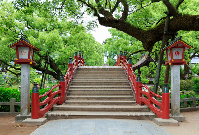 [Kyushu Private Charter] Fukuoka, Yufuin, Beppu, Kumamoto, Aso, Takachiho, etc. (Customized itinerary available)