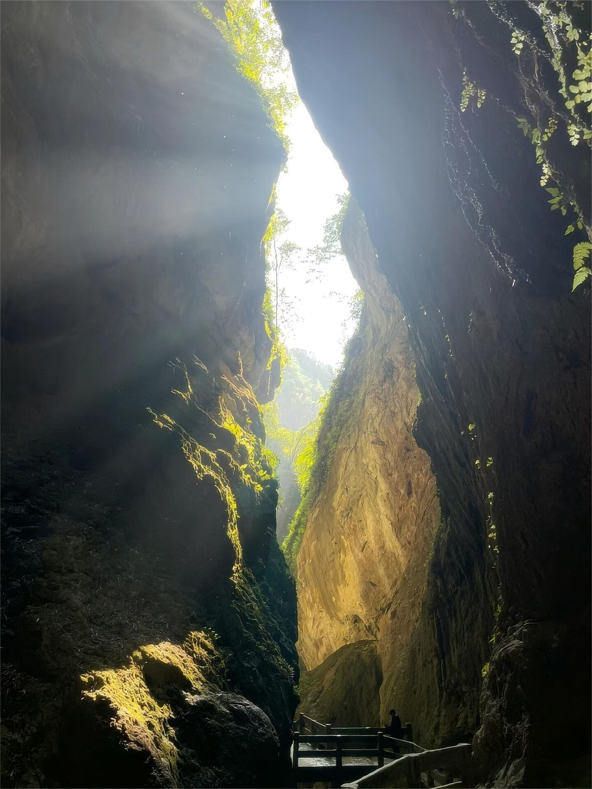 Two - Day Private Car Tour of Wulong, Chongqing