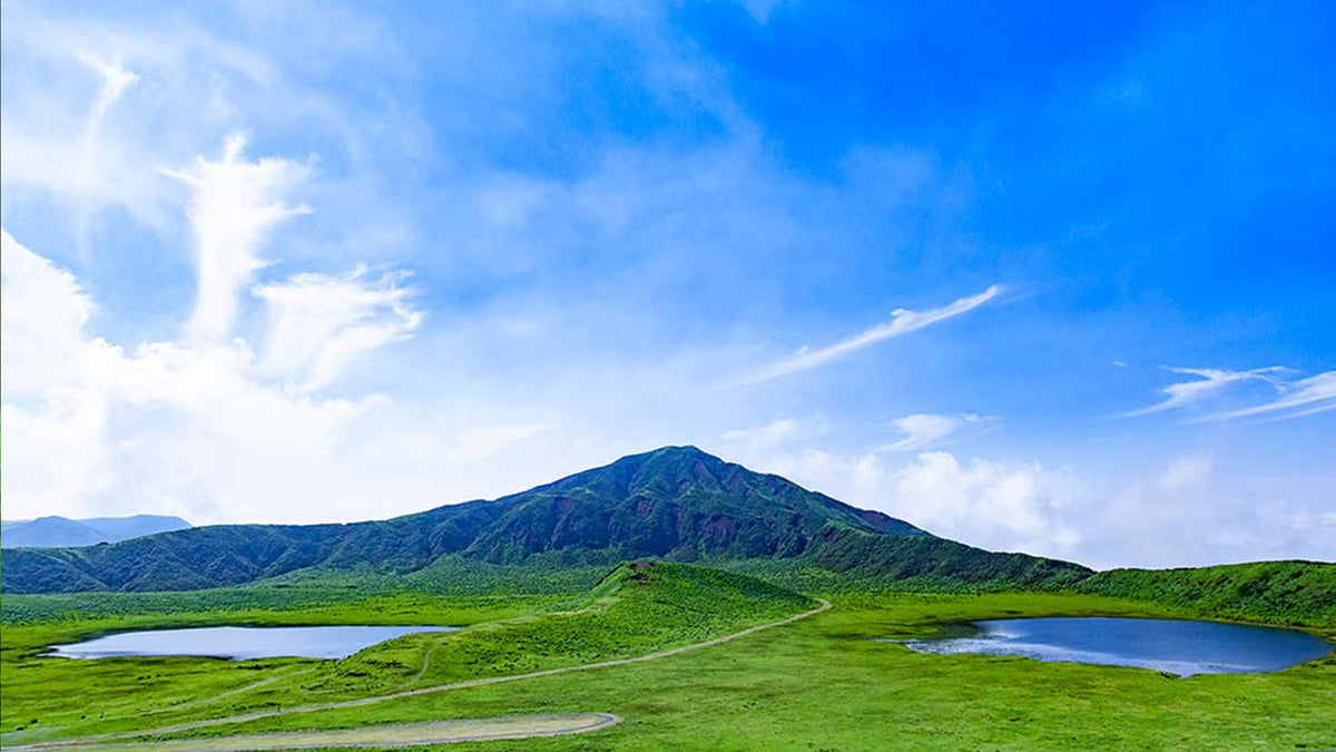 Kumamoto Departure Aso Area Chartered Car Day Tour | Kumamoto Castle | Mount Aso Crater | Kusasenri | Kamishikimi Kumanoza Shrine | Shirakawa Spring Source | Aso Shrine | Daikanbo | Nabe Falls | Kurokawa Onsen, etc.