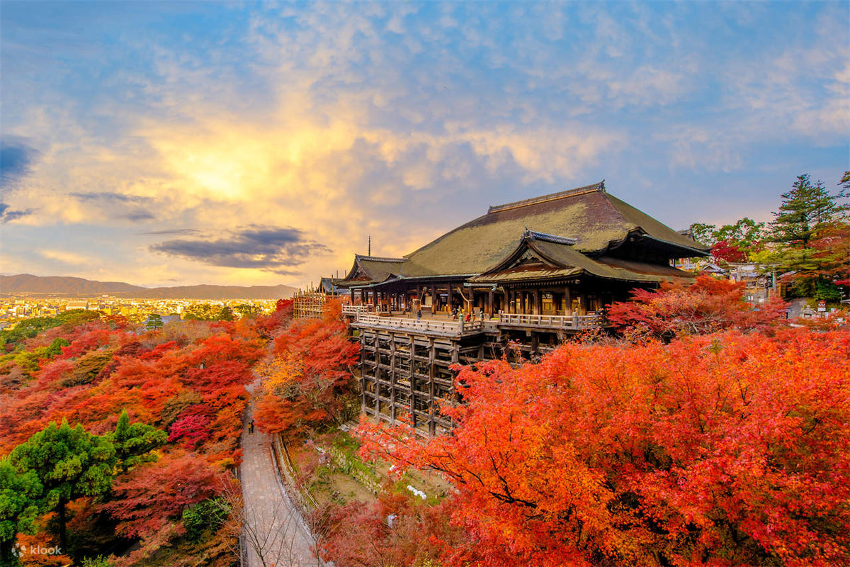 Osaka Departure丨Kansai Region Customized Private Car Day Tour (Osaka/Kyoto/Nara/Kobe/Wakayama)