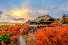 Osaka Departure丨Kansai Region Customized Private Car Day Tour (Osaka/Kyoto/Nara/Kobe/Wakayama)