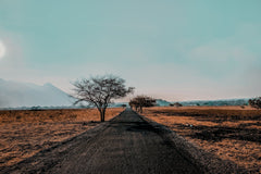 Banyuwangi Private Car Charter
