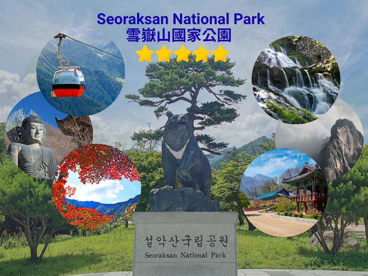 Gangwon - do Tourist Taxi | 3 - Hour Private Charter Service in Gangneung, Chuncheon & Sokcho (Free Seoul Round - Trip Shuttle Available in Sokcho)