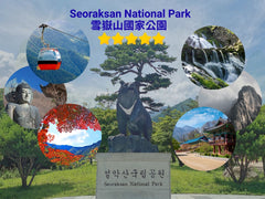 Gangwon - do Tourist Taxi | 3 - Hour Private Charter Service in Gangneung, Chuncheon & Sokcho (Free Seoul Round - Trip Shuttle Available in Sokcho)