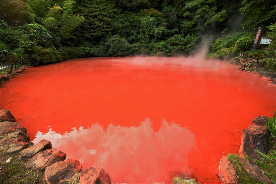 [Kyushu Private Charter] Fukuoka, Yufuin, Beppu, Kumamoto, Aso, Takachiho, etc. (Customized itinerary available)