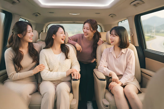 10-Hour Private Car Charter from Seoul: Nami Island, Alpaca World & Sokcho