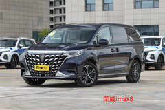 Chongqing Chartered Car Night Tour