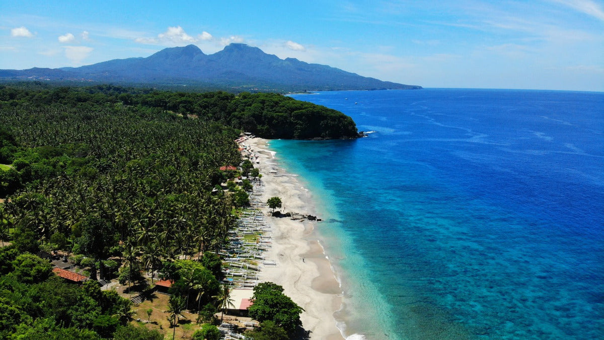 Bali Female Driver (Private Car Charter)