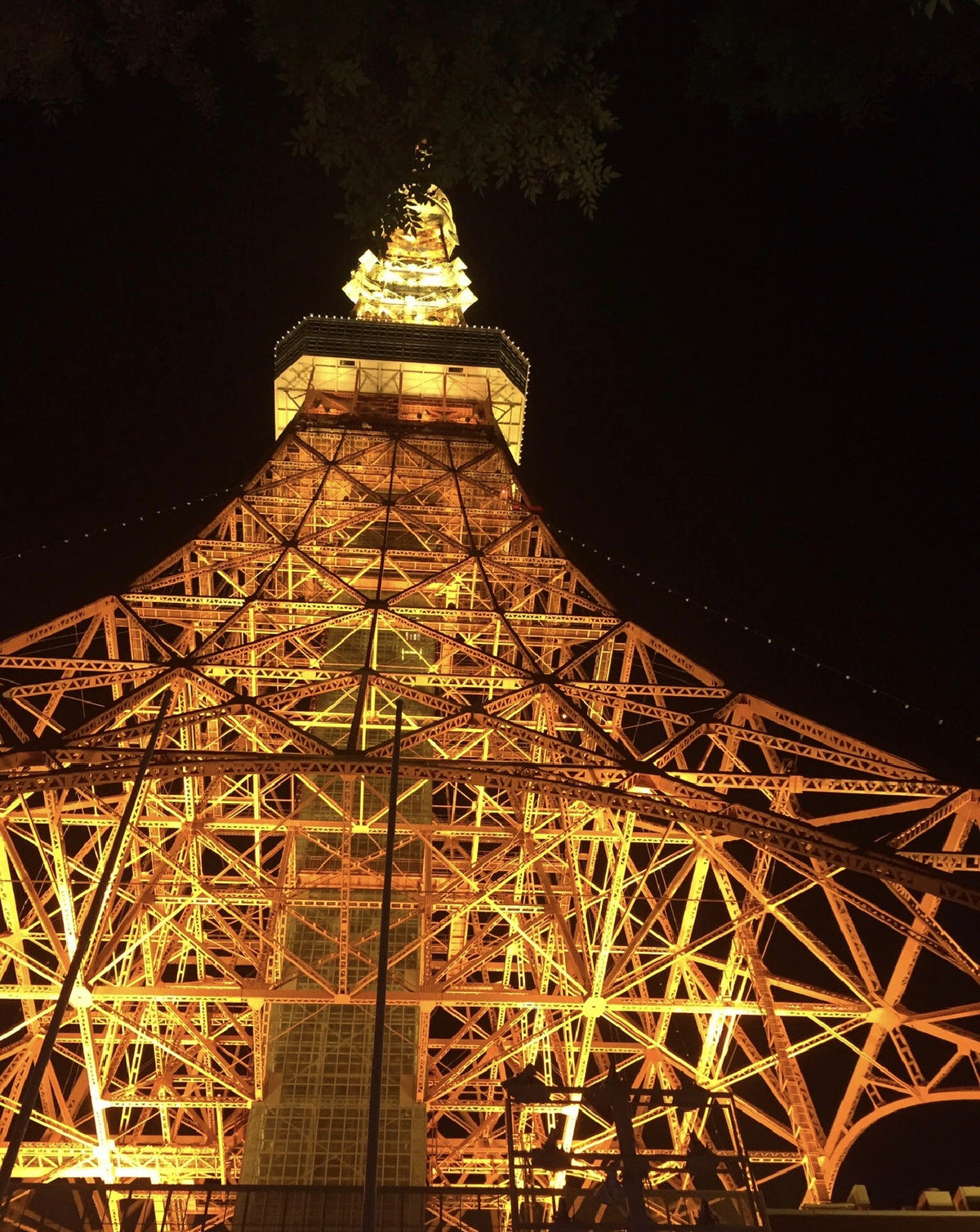 Tokyo Private Car Charter │ Mount Fuji・Lake Kawaguchi・Oshino Hakkai │ Customizable Itineraries