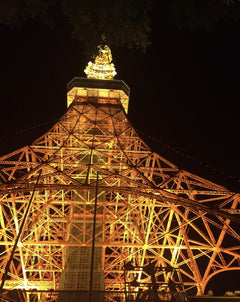 Tokyo Private Car Charter │ Mount Fuji・Lake Kawaguchi・Oshino Hakkai │ Customizable Itineraries