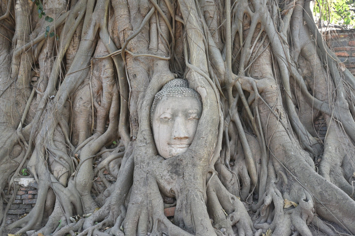 Private Car Charter Ancient Ayutthaya Full Day Tour