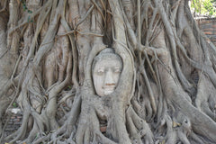 Private Car Charter Ancient Ayutthaya Full Day Tour