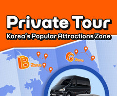 Korea Private Car Charter Tour from Seoul